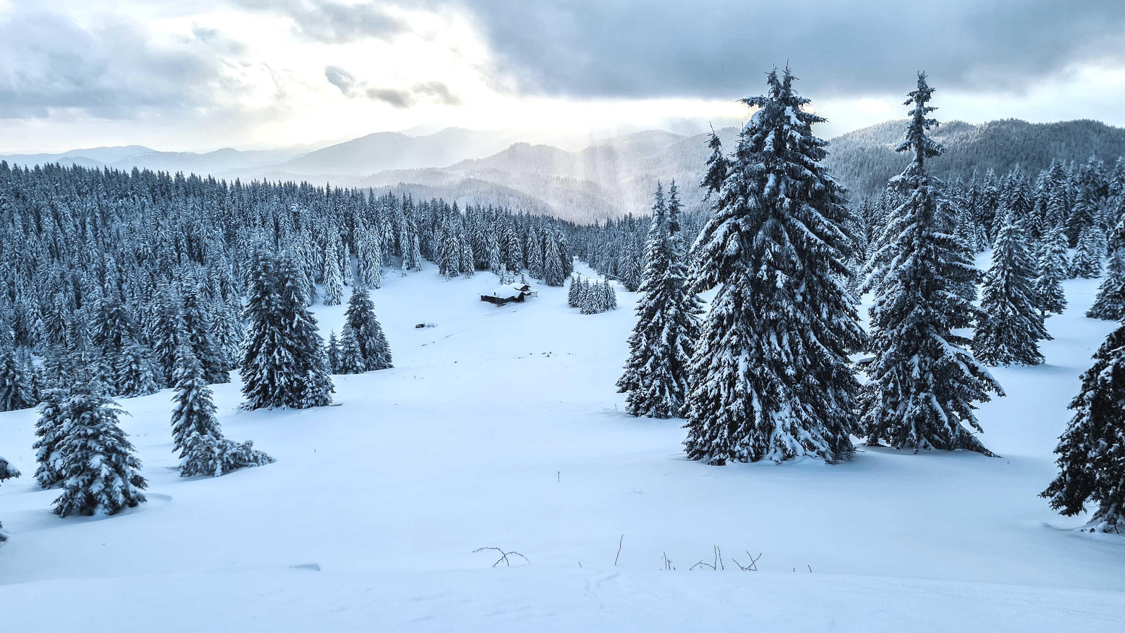 sun through clouds and snow covered trees in Norway